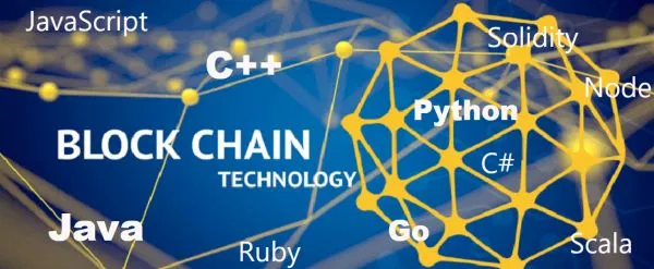 what is the best programming language to learn to work on  Blockchain?