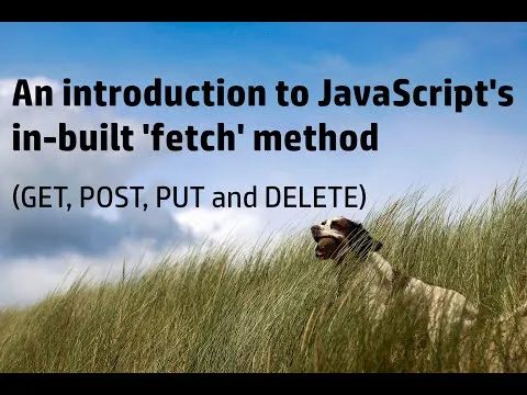 How to use fetch in JavaScript: GET, POST, PUT and DELETE requests