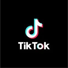 The Benefits of Using a TikTok Video Downloader