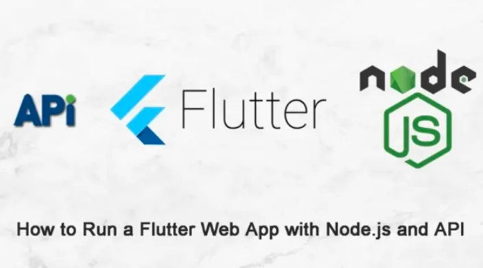 How to Run a Flutter Web App with Node.js and API