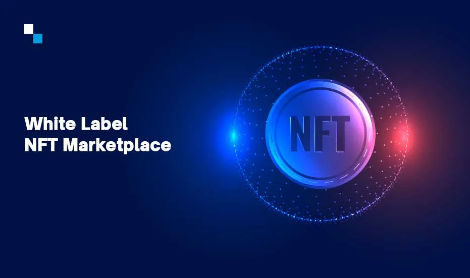 Enhance your features using our White Label NFT Marketplace Developmen