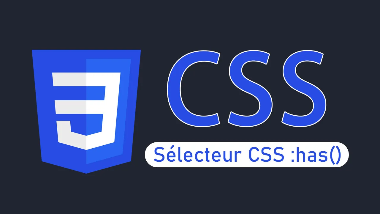 Le Guide Avancé Du Sélecteur CSS :has()