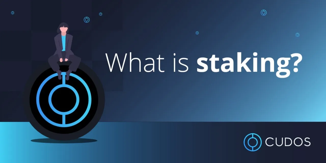 Staking Programs, What is Staking?