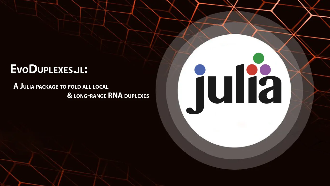 A Julia Package to Fold All Local & Long-range RNA Duplexes