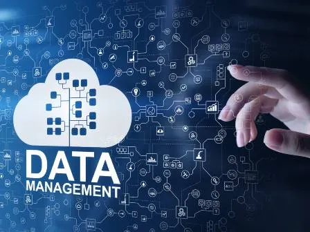 Best Data Management Solutions US
