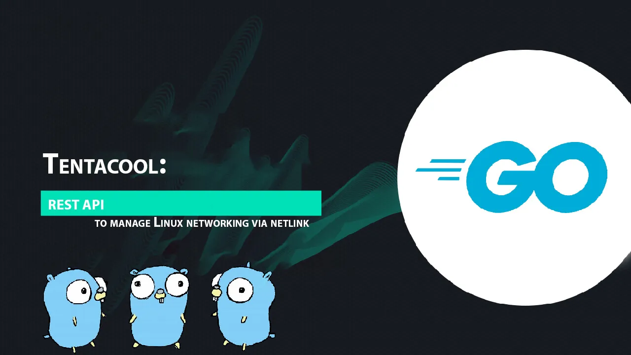 Tentacool: REST API to Manage Linux Networking Via Netlink