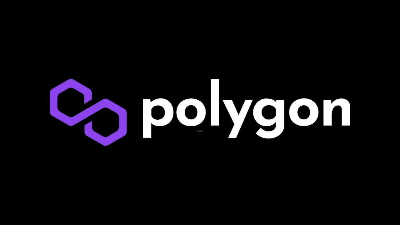 Polygon Ecosystem Overview | Top 100 Project Built on Polygon (MATIC)