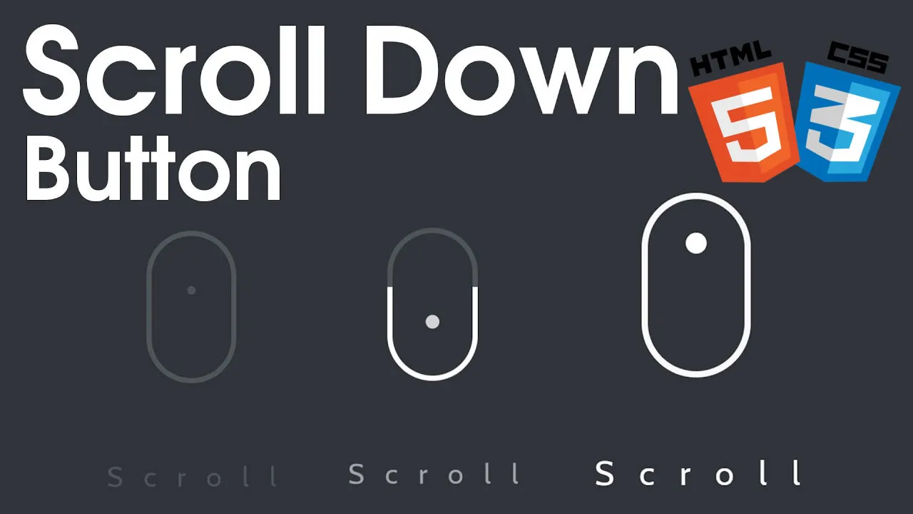 How to Create a Scroll Down Button with HTML and CSS