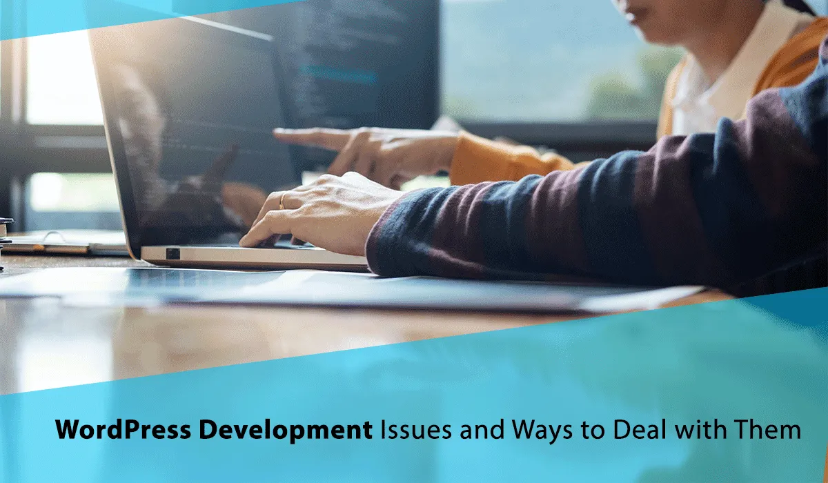 WordPress Development Issues and Ways to Deal with Them