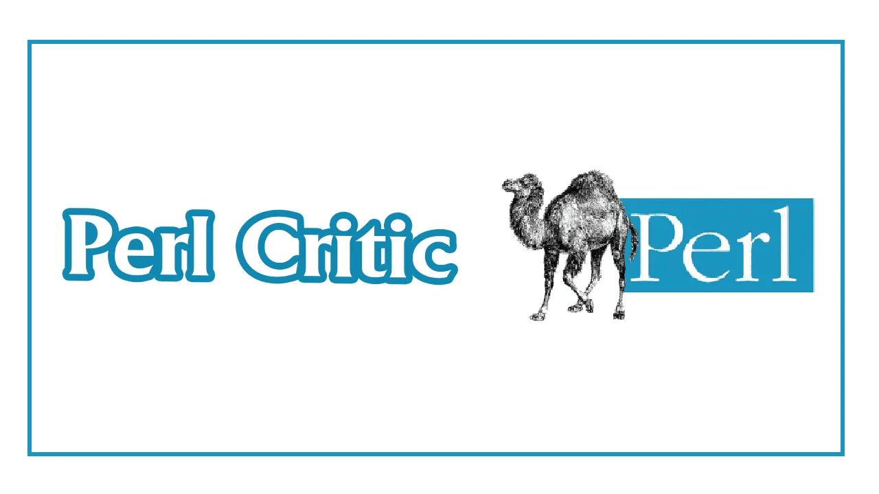 Perl Critic: The Leading Static analyzer for Perl