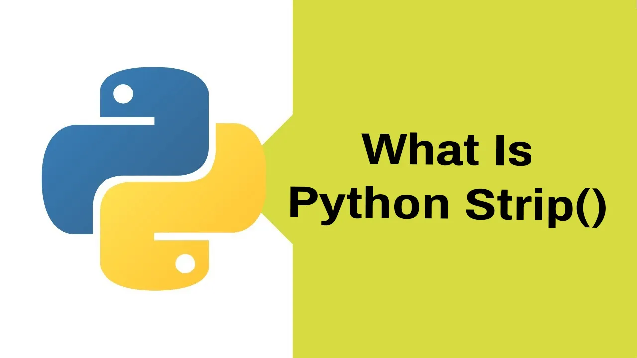 What Is Python Strip() with Examples