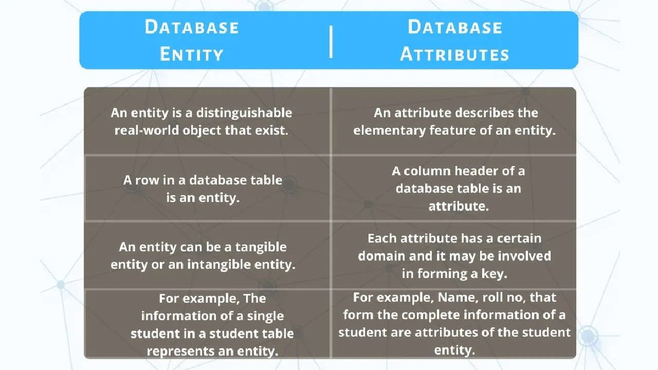 Difference Between Entities vs Attributes in a Data Model