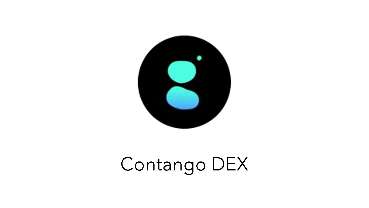 What is Contango DEX | What is Contango Protocol 