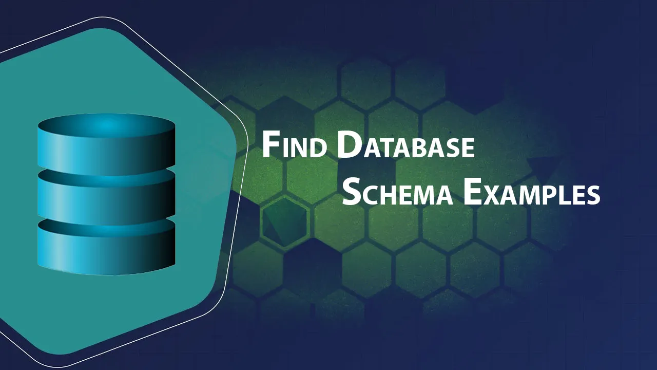 Find Database Schema Examples