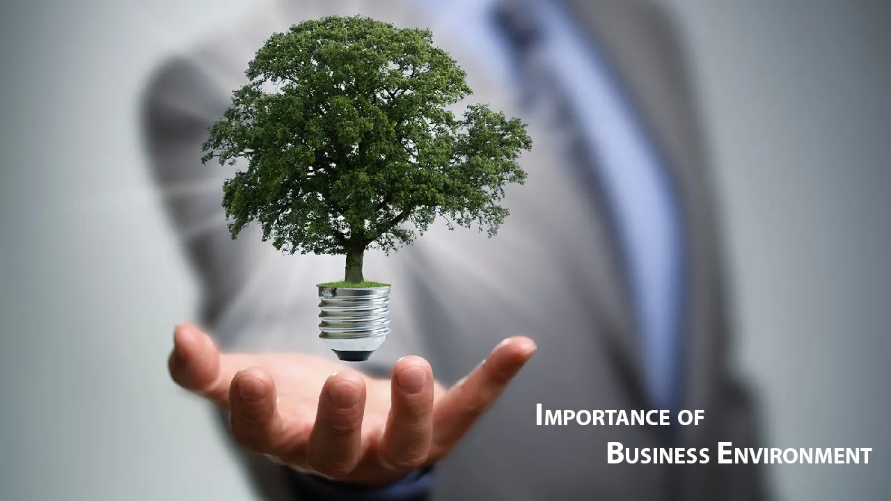 Importance of Business Environment