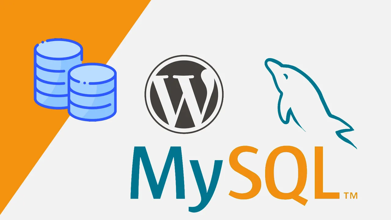How Databases Work with MySQL and WordPress
