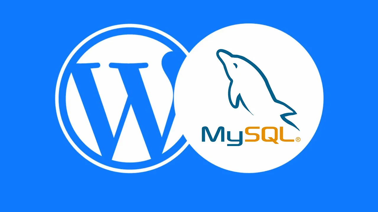 Cơ sở dữ liệu hoạt động như thế nào với MySQL và WordPress