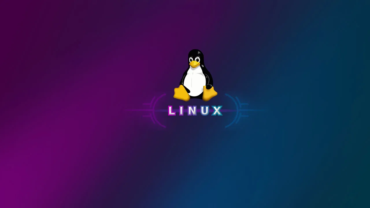 如何安装、配置和维护 Linux DNS 服务器