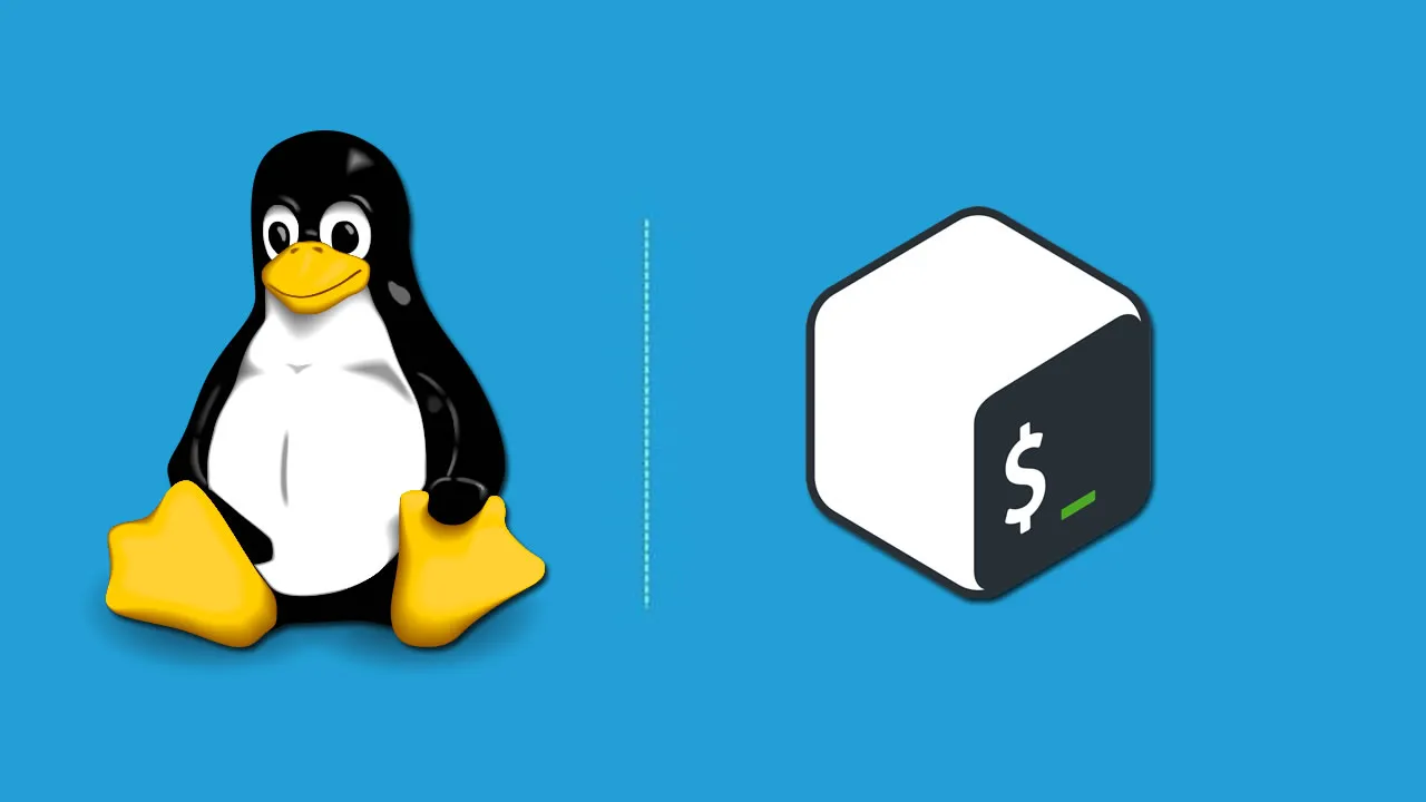 Linux Shell Script and Command Line for Beginners