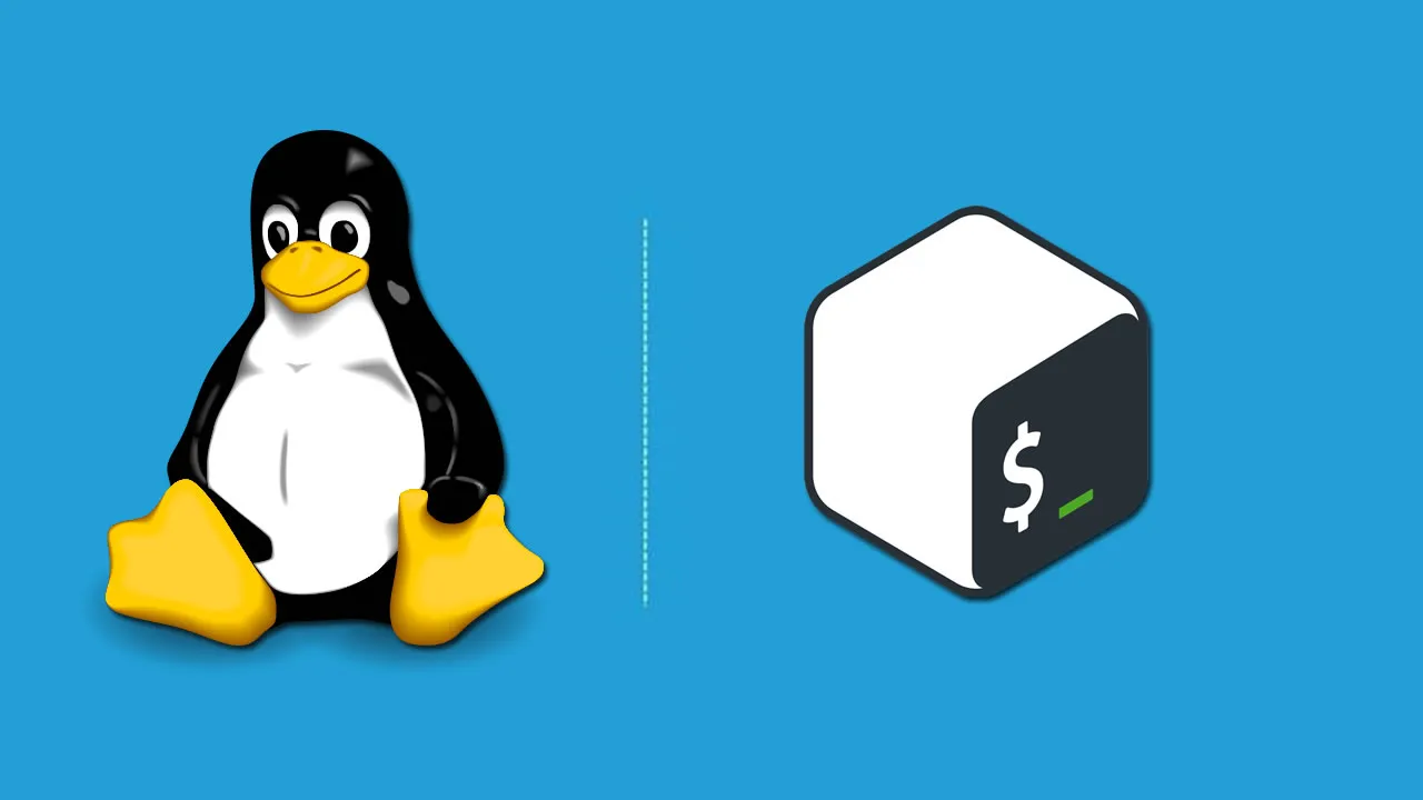 초보자를 위한 Linux 셸 스크립트 및 명령줄