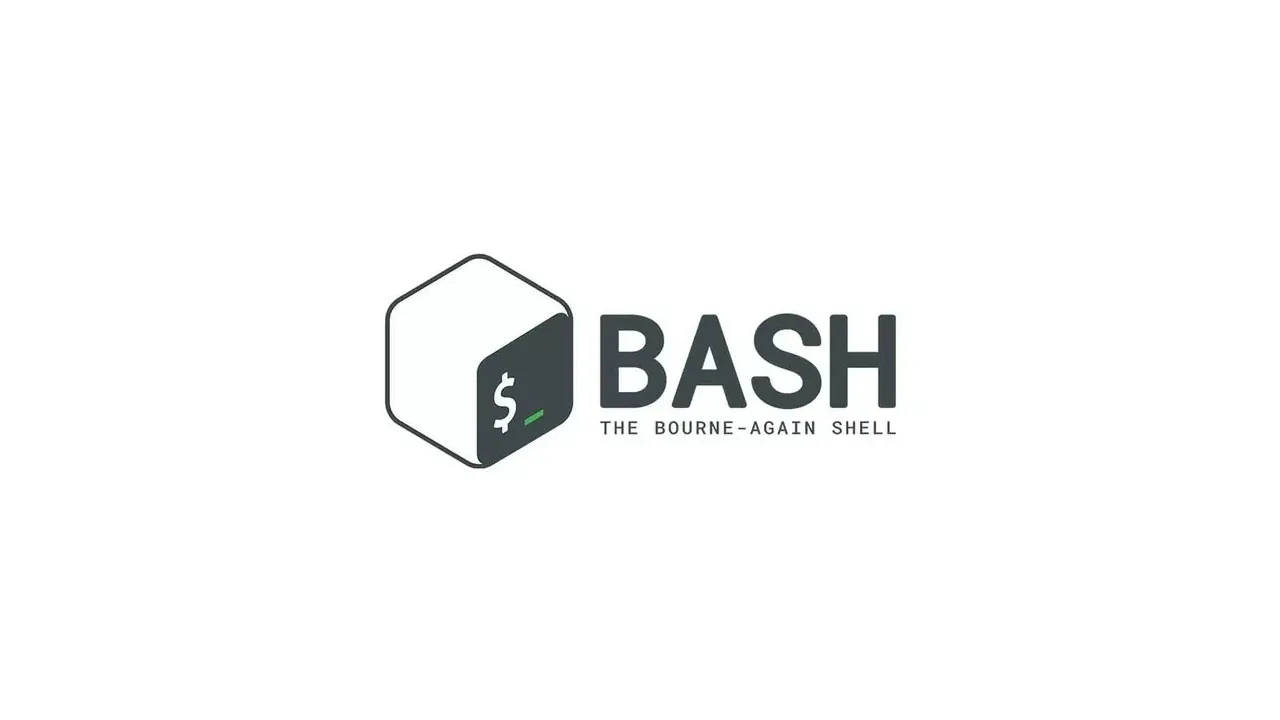 在 Bash 中提取没有路径和扩展名的文件基名