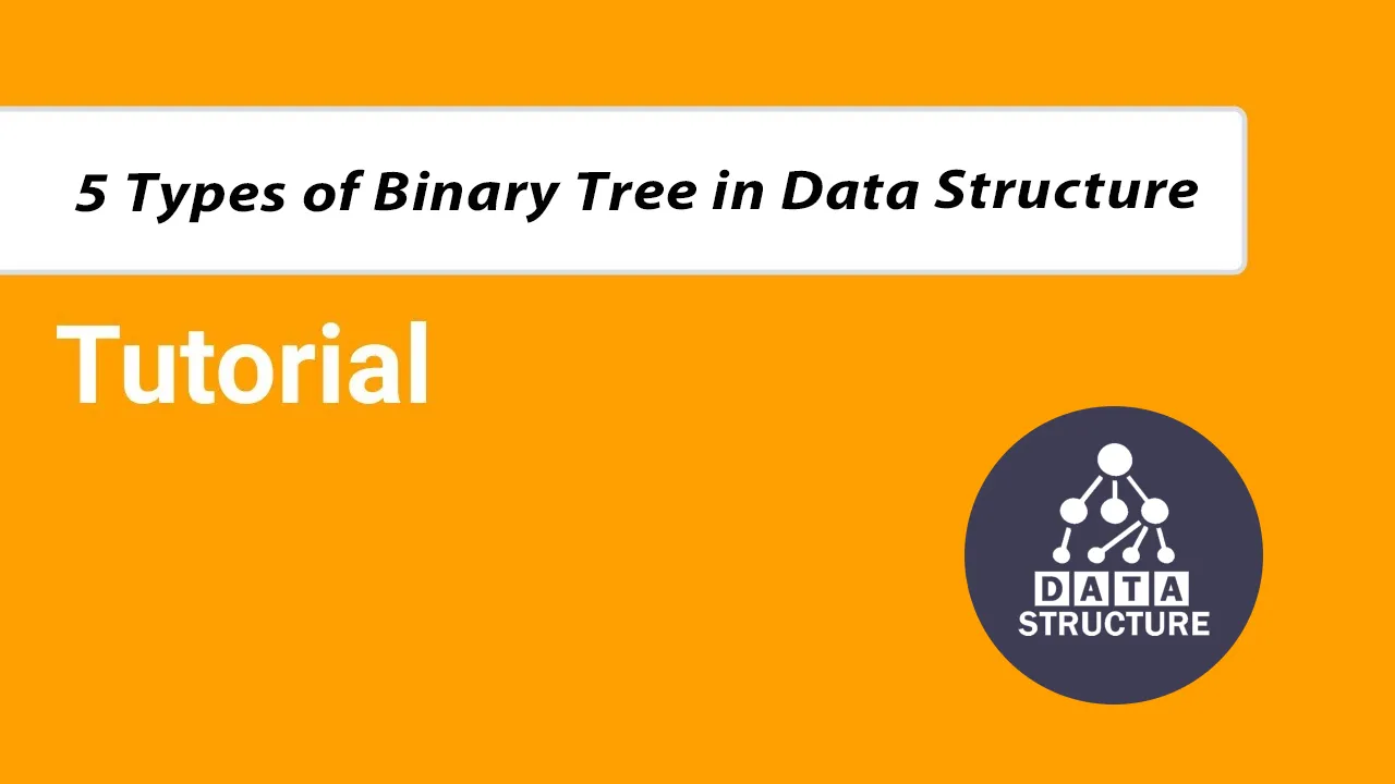 Explore The 5 Types Of Binary Trees in Data Structures