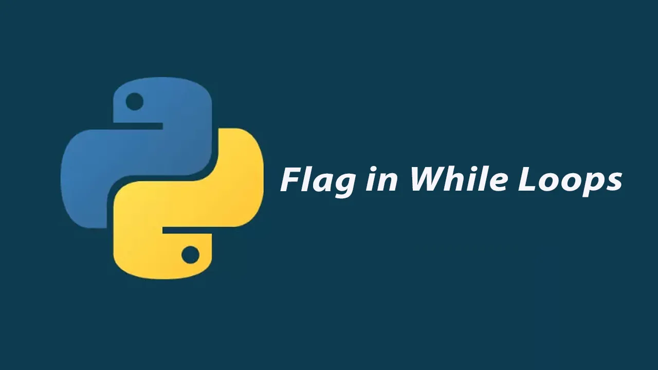 What Is The Flag in The While Loop In Python?
