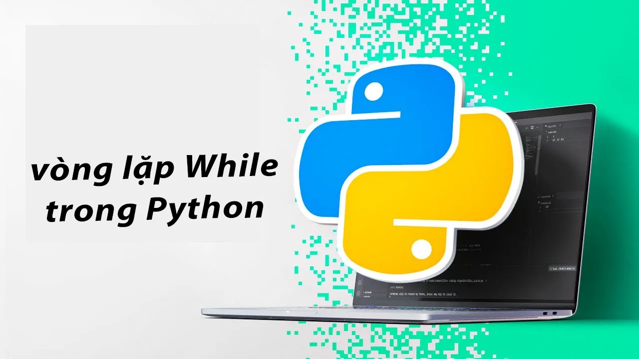 Cờ trong vòng lặp While trong Python là gì?