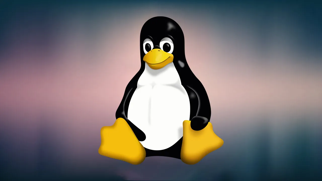 为特定用户授予对 Linux 中文件夹的写入权限