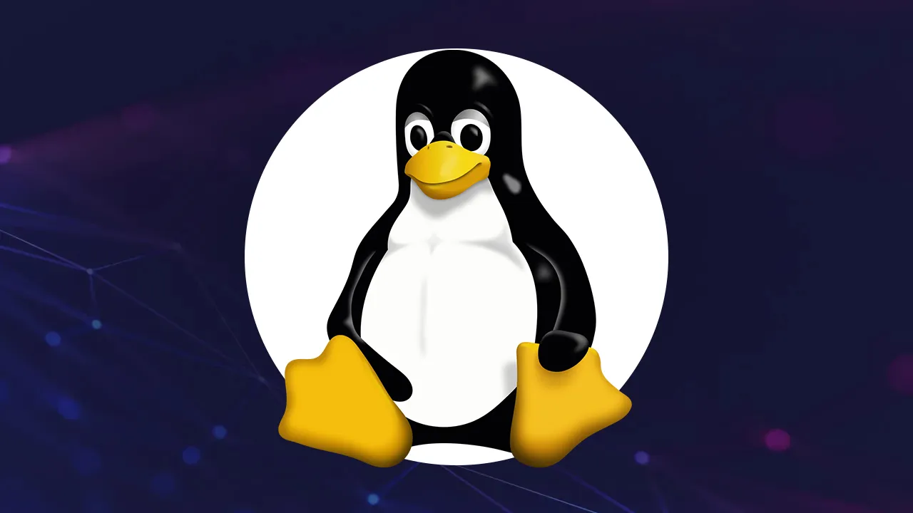 在 Linux 中递归地计算目录中的所有代码行