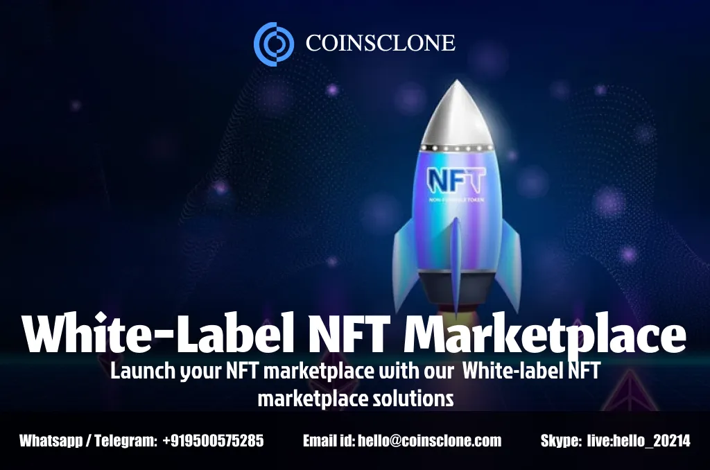 White Label NFT Marketplaces - What makes it stand out in the market?