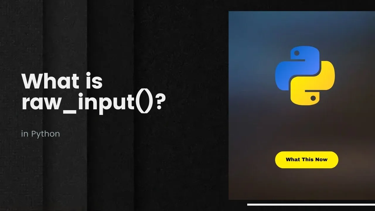 what-is-raw-input-in-python