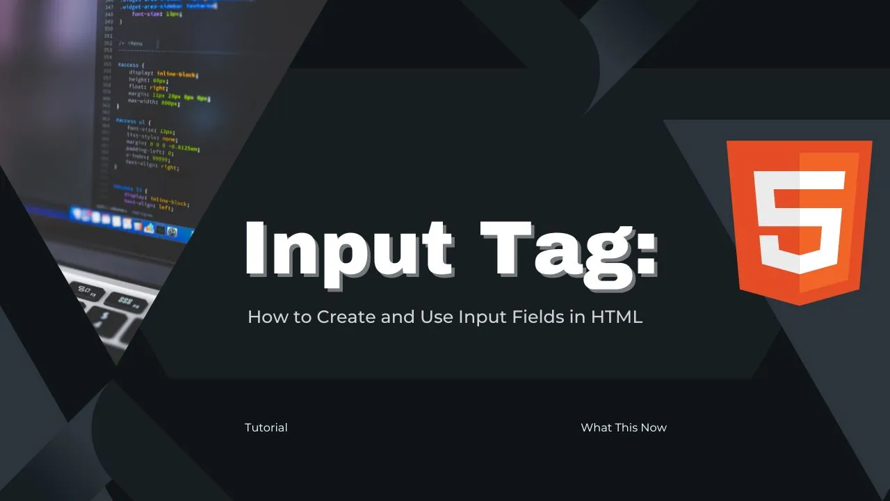 HTML Input Tag: How to Create and Use Input Fields in HTML