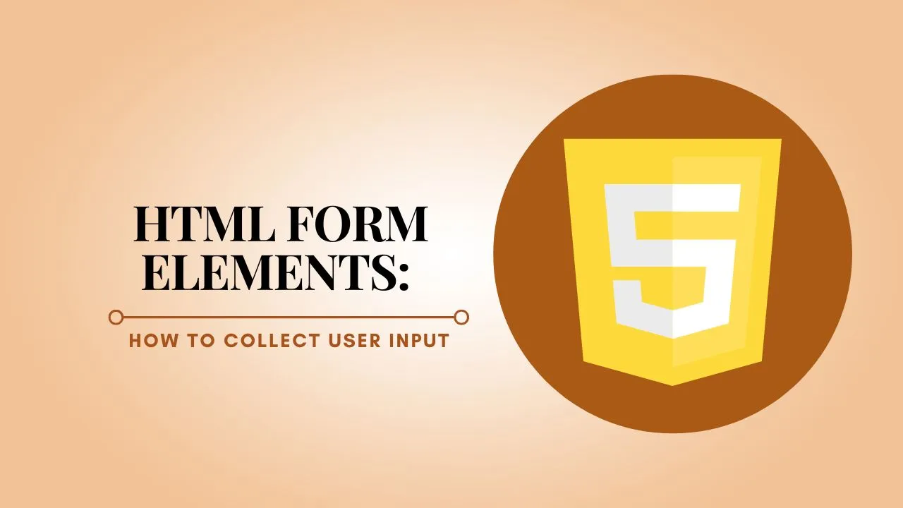 HTML Form Elements: How to Collect User Input with HTML