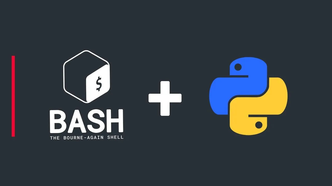 create-a-bash-script-to-run-python-scripts-for-automation