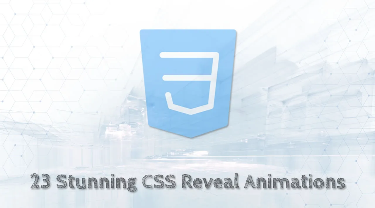 Top 23 Stunning CSS Reveal Animations to Spice Up Your Website