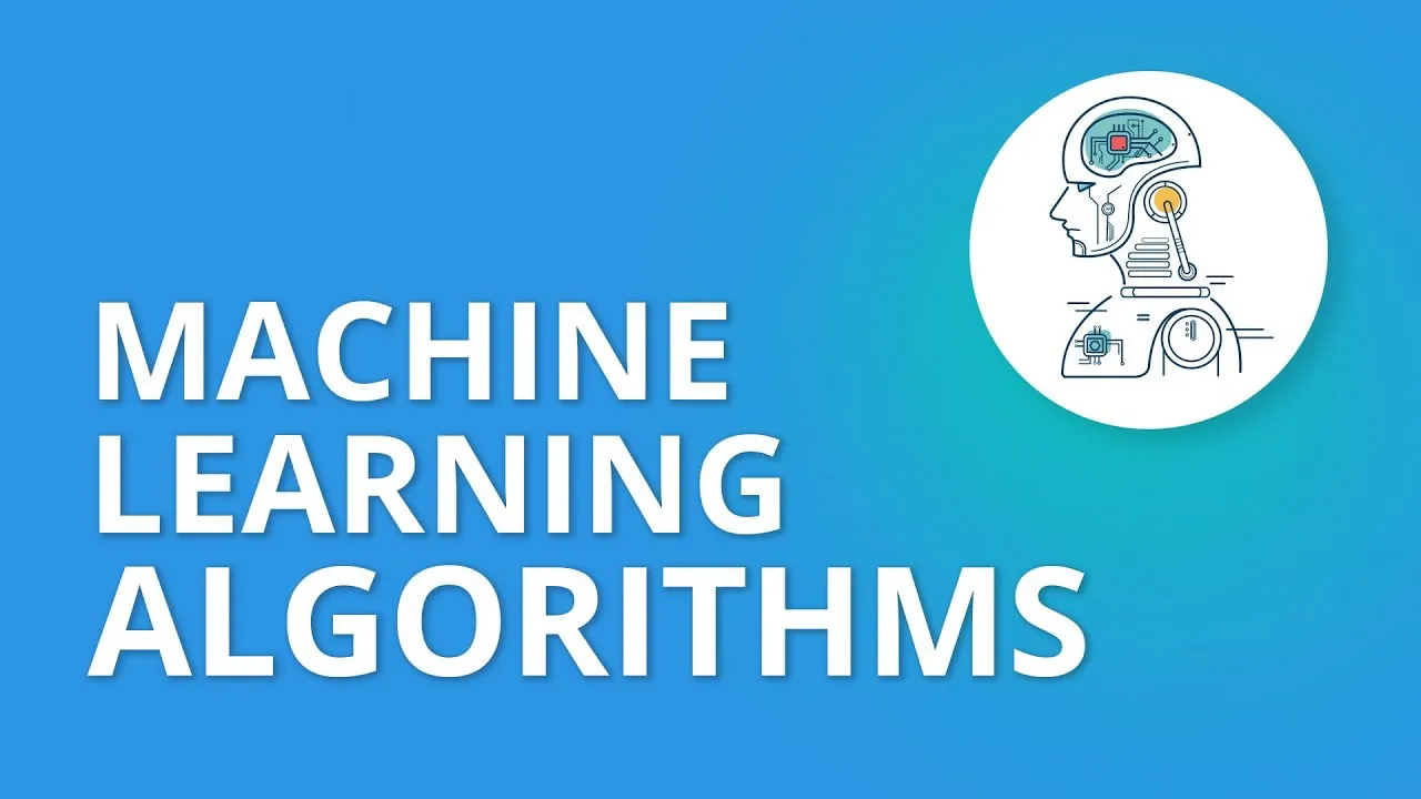 Top 8+ Essential Machine Learning Algorithms for Beginners
