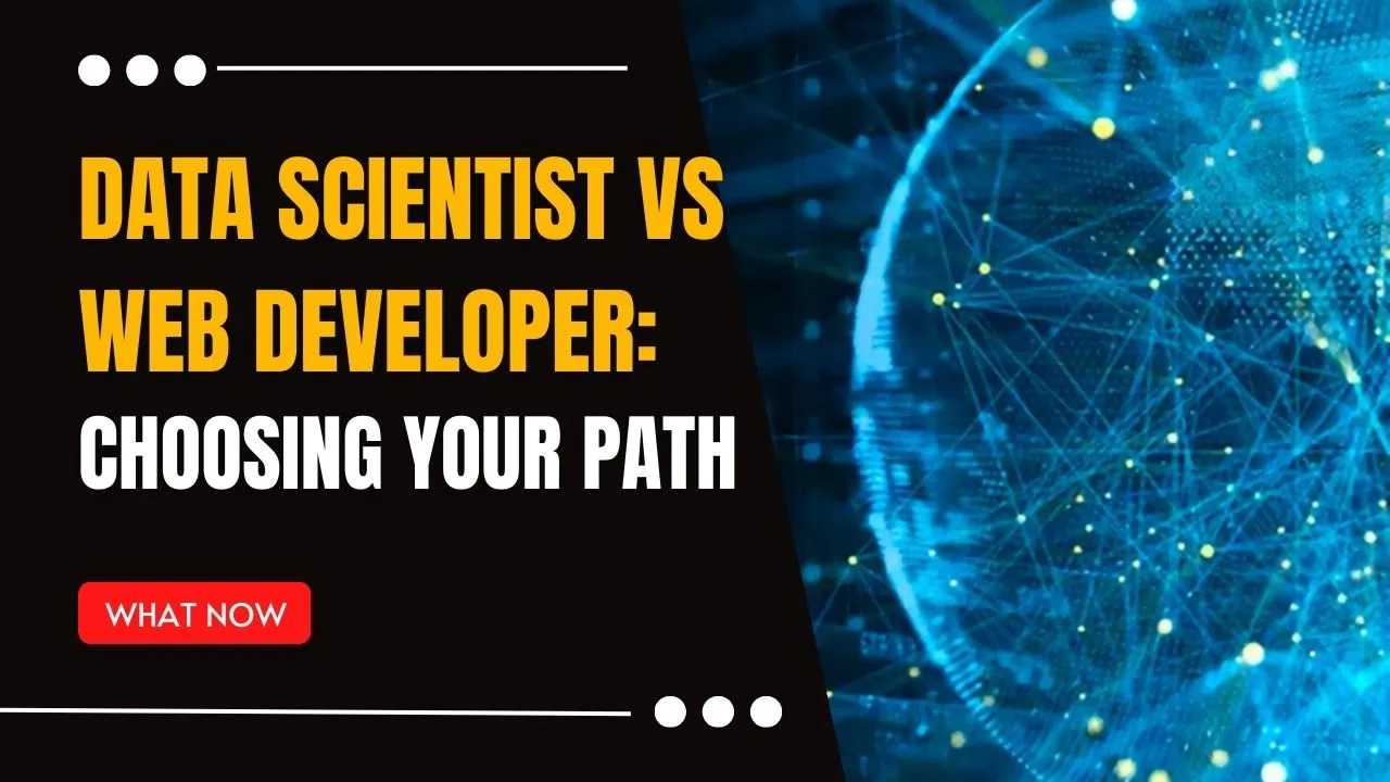 Data Scientist vs Web Developer: Choosing Your Path