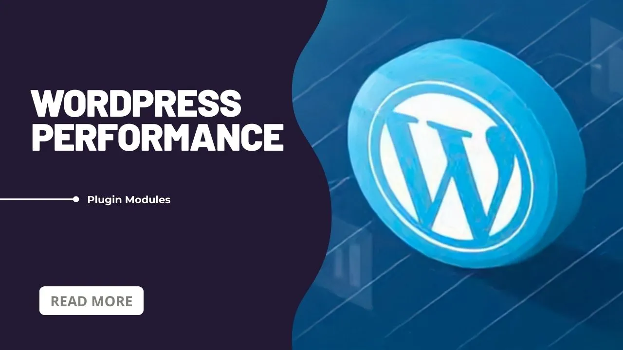 WordPress Performance Plugin Modules