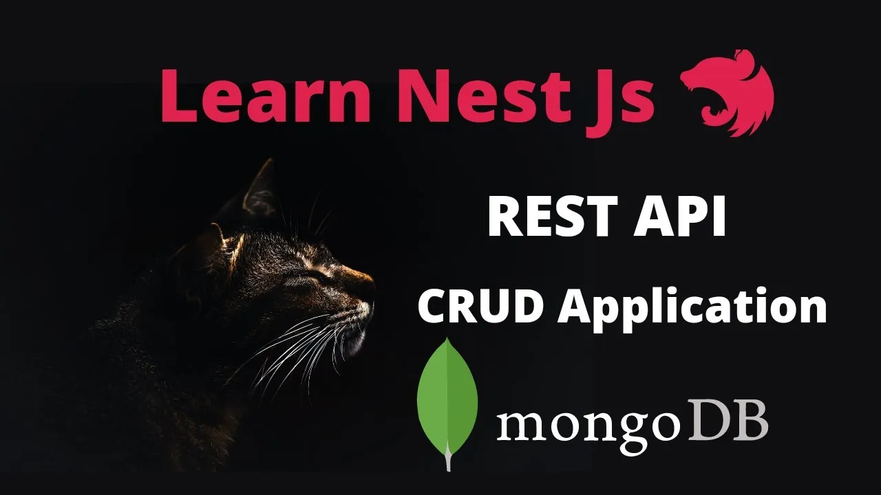 Build CRUD REST API using Nest.js and MongoDB