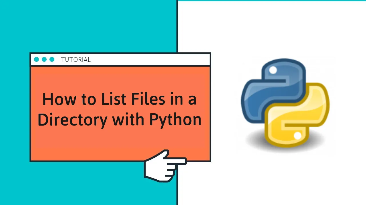 How to List Files in a Directory with Python