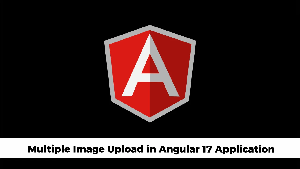 Angular 17 Multiple Image Upload with Preview Example
