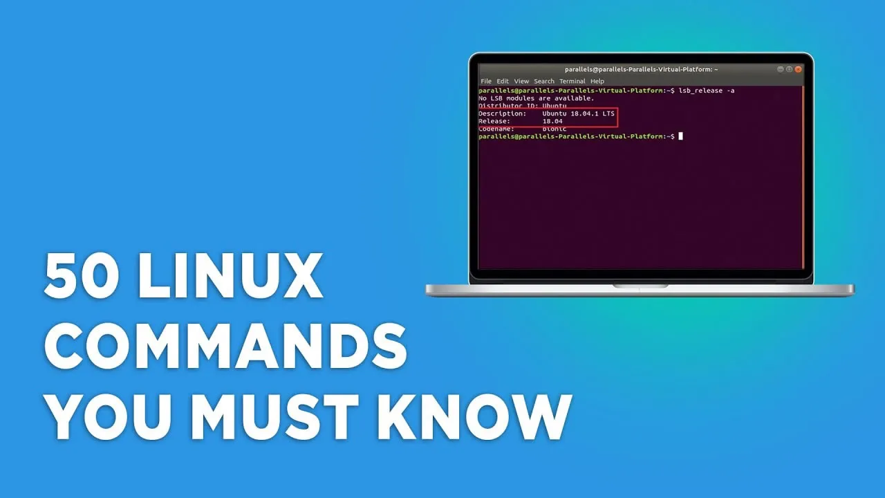 50 Linux Commands You Must Know