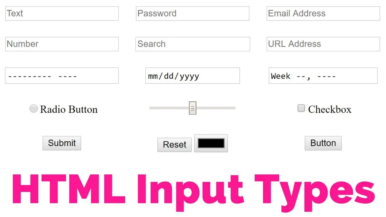 Input Types in HTML - Explained with Code Examples