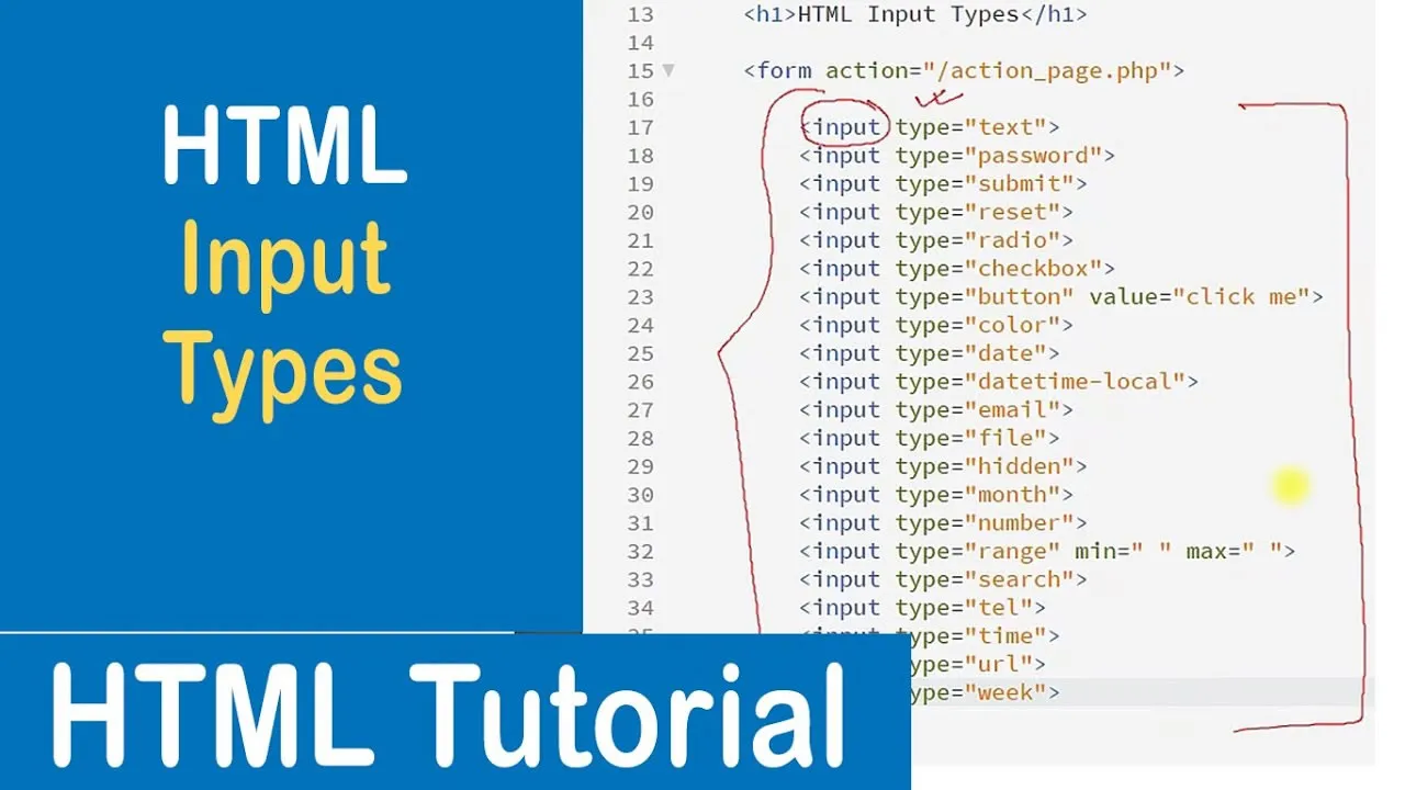 HTML Input Types: A Comprehensive Guide with Examples