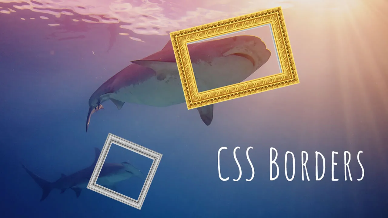 CSS Rounded Borders - Explained with Examples