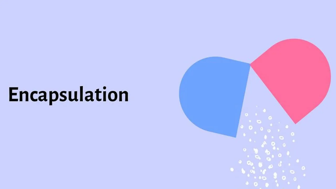 Java Encapsulation - Explained with Examples