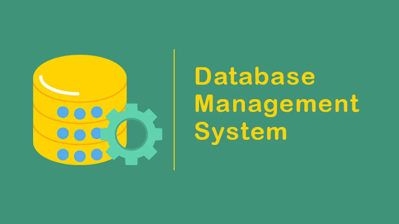 Database Management Systems (DBMS) Explained