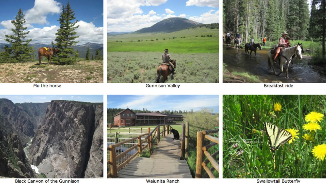 How To Align Images Side By Side With CSS how-to-align-images-side-by-side-with-css