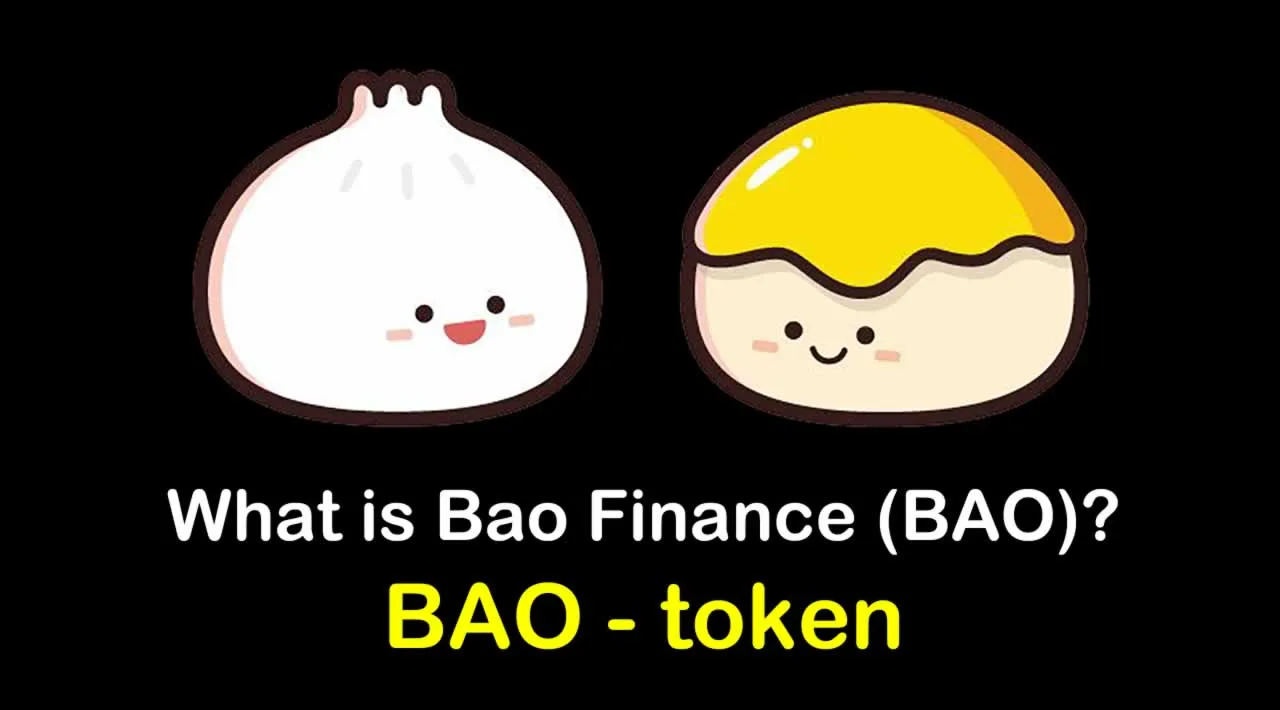 What is Bao Finance (BAO) | What is BAO token 
